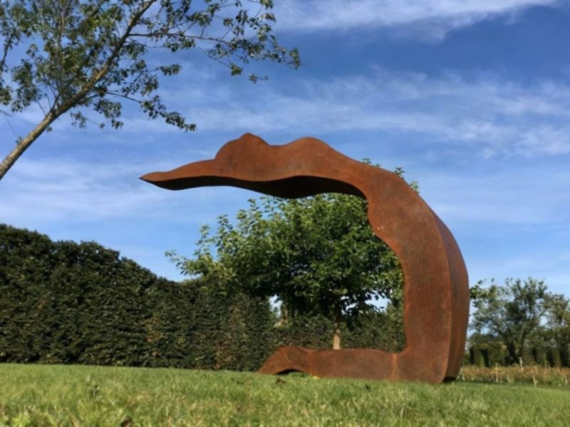 Williams Roobrouck_small